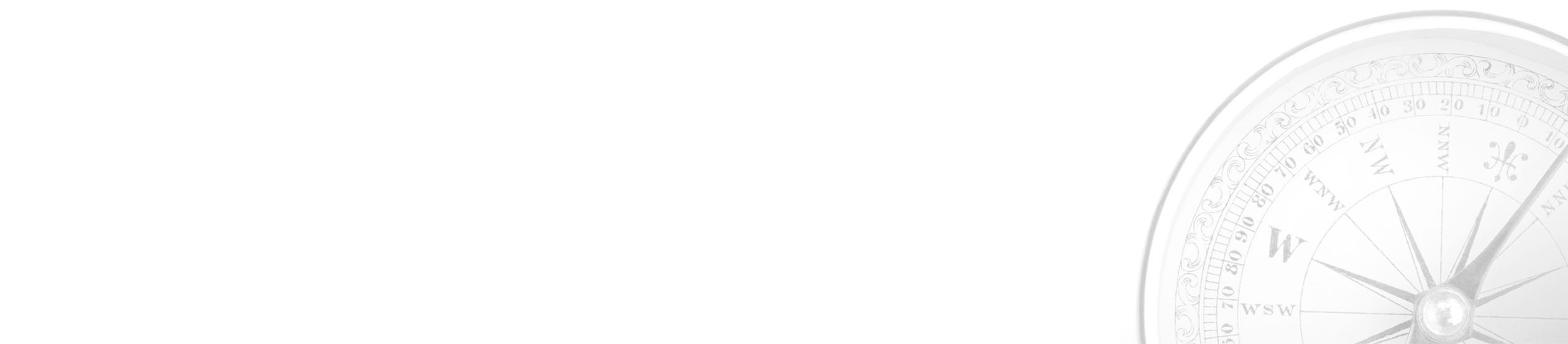 Walter Adami Management Service - Background