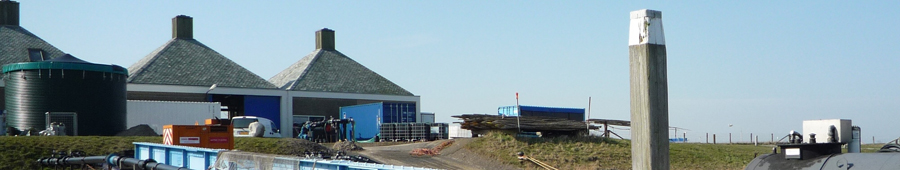 Marktzugang Großkonzern